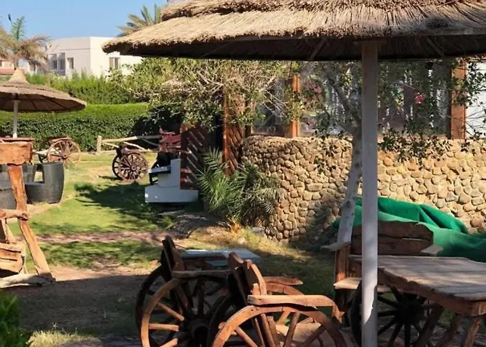 公寓 Palma Hhend What's
