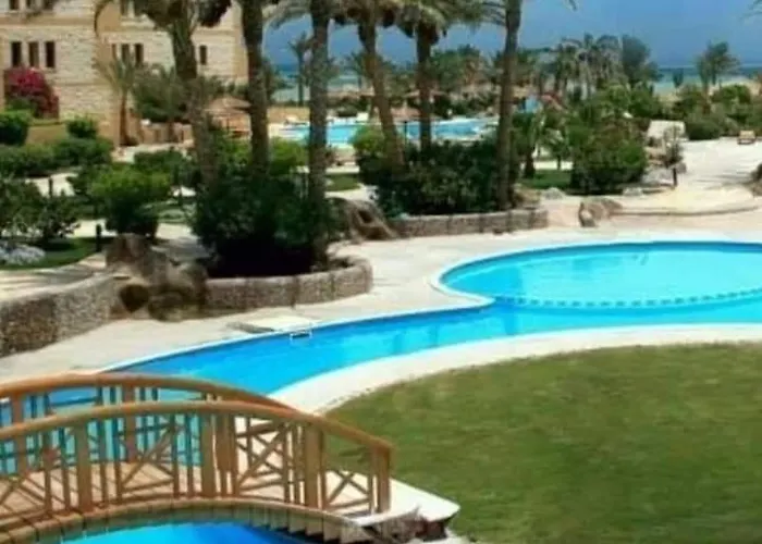 Palma Hhend What's